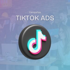 TikTok Ads